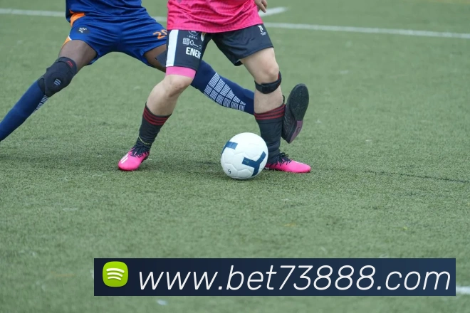 bet365com平台生态图